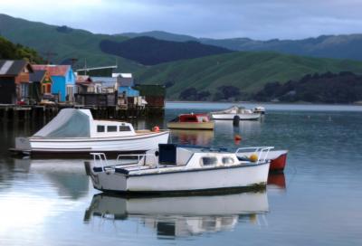 Paremata Boatsheds