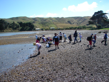 Plimmerton School field study