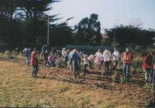 Replanting the Pauatahanui Stream bank