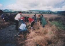 Planting alongside the Inlet Pathway Te Ara Piko